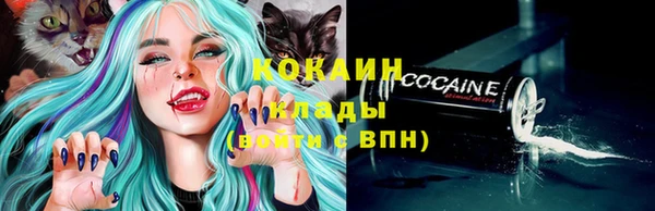хмурый Белокуриха