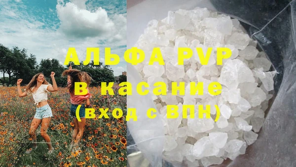 хмурый Белокуриха