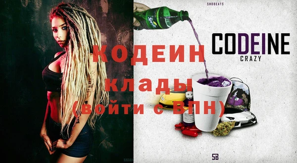 хмурый Белокуриха