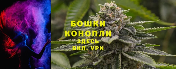 хмурый Белокуриха