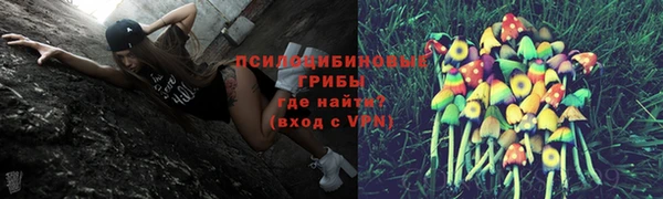 хмурый Белокуриха