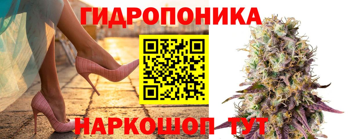 Каннабис Bruce Banner  Марихуана VHQ  МАРИХУАНА Bruce Banner  Вход с VPN  Шишки марихуана THC 21%  Вятские Поляны 